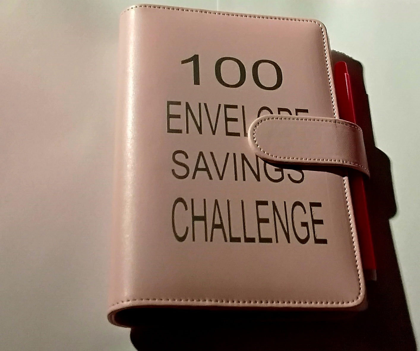100-Day Envelope Savings Challenge Binder | Saving Binder | Pink Binder