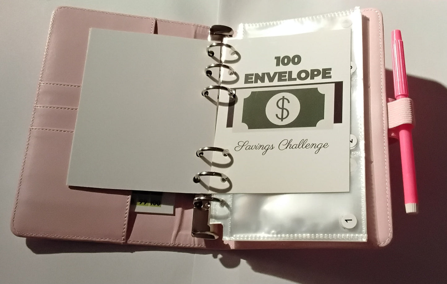 100-Day Envelope Savings Challenge Binder | Saving Binder | Pink Binder